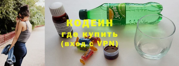 стаф Богданович