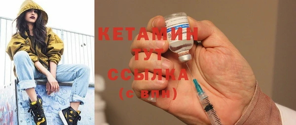 стаф Богданович