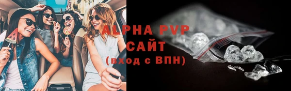стаф Богданович