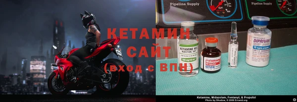 стаф Богданович