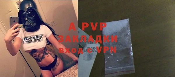 стаф Богданович