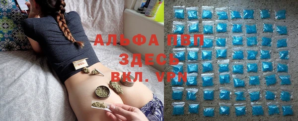 стаф Богданович