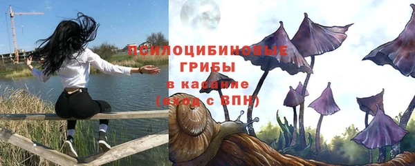 Альфа ПВП Богородск