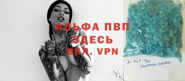 стаф Богданович