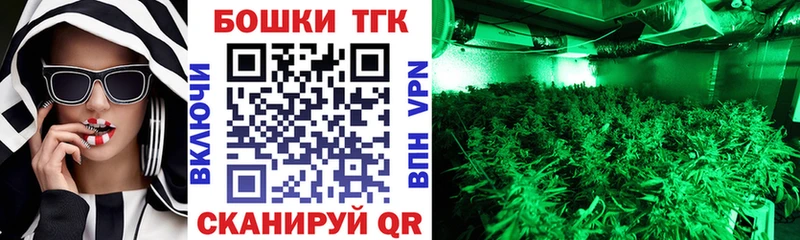 Купить закладки  Лыткарино  Канабис семена 